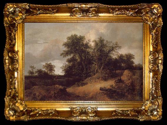 framed  Jacob van Ruisdael Dune Landfscape, ta009-2